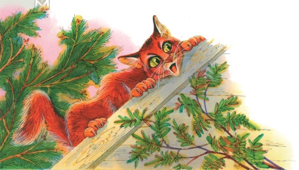 Иллюстрация к книге — Закон племен [pic_97.jpg]