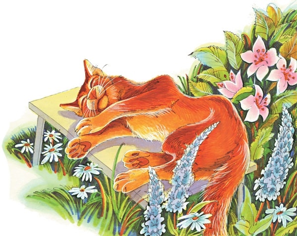 Иллюстрация к книге — Закон племен [pic_98.jpg]