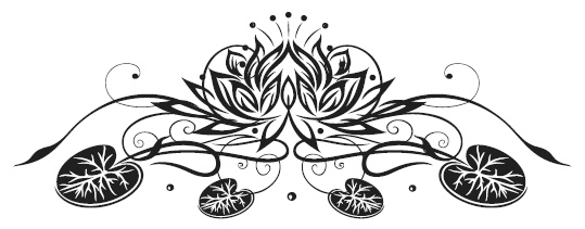 Иллюстрация к книге — Как достигать желаемого силой мысли [i_018.jpg]