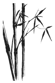 Иллюстрация к книге — Как достигать желаемого силой мысли [i_022.jpg]