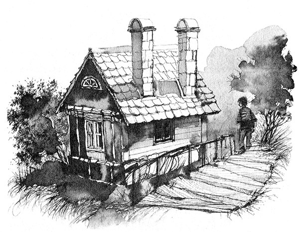 Иллюстрация к книге — Мой друг Перси, Буффало Билл и я [i_017.jpg]