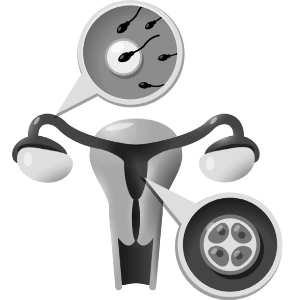 Иллюстрация к книге — Я - будущая мама! Беременность, роды и первый год жизни ребенка [i_004.jpg]