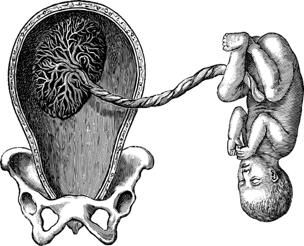 Иллюстрация к книге — Я - будущая мама! Беременность, роды и первый год жизни ребенка [i_020.jpg]