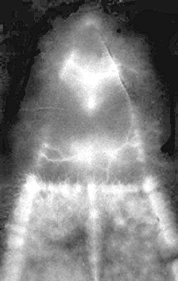 Иллюстрация к книге — Эмоциональный код исцеления. Подсознание лечит любую болезнь! [i_005.jpg]