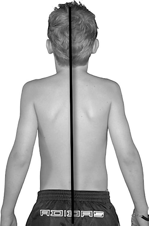 Иллюстрация к книге — Эмоциональный код исцеления. Подсознание лечит любую болезнь! [i_007.jpg]