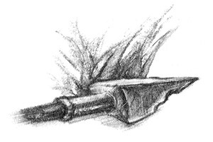 Иллюстрация к книге — Дети дельфинов [i_003.jpg]