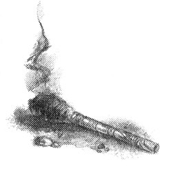 Иллюстрация к книге — Дети дельфинов [i_024.jpg]