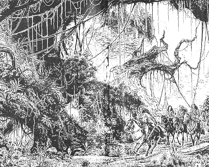 Иллюстрация к книге — К чему приводят девицу... Объятия дракона [i_001.jpg]