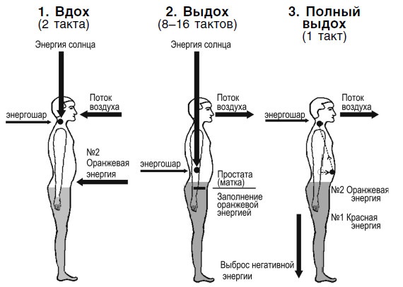 Иллюстрация к книге — Для тех, кто хочет жить 120 лет счастливым, здоровым и богатым [i_003.jpg]