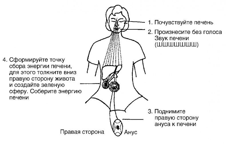 Иллюстрация к книге — Мысль творит реальность: вам подвластно ВСЁ [Autogen_eBook_id11.jpg]