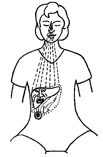 Иллюстрация к книге — Мысль творит реальность: вам подвластно ВСЁ [Autogen_eBook_id36.jpg]