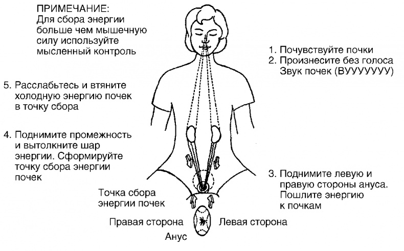 Иллюстрация к книге — Мысль творит реальность: вам подвластно ВСЁ [Autogen_eBook_id8.jpg]