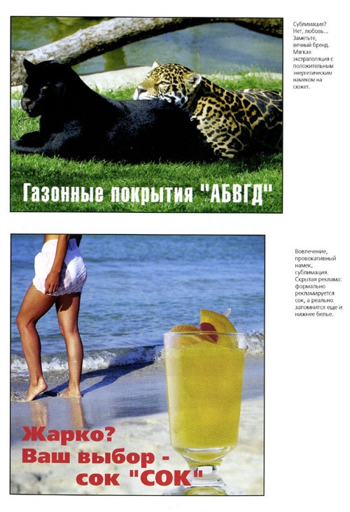 Иллюстрация к книге — Полевые заметки визуального психодиагноста [i_003.jpg]