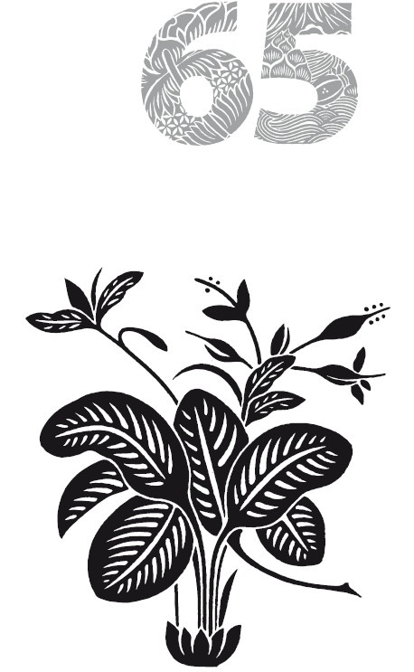 Иллюстрация к книге — Мудрость правителя на пути долголетия. Теория и практика достижения бессмертия [i_068.jpg]