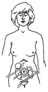 Иллюстрация к книге — Школа лентяев, или Тибетская оздоровительная гимнастика для внутренних органов [i_030.jpg]