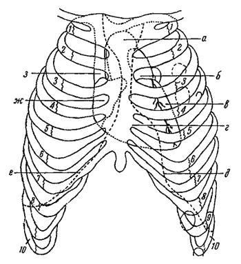 Иллюстрация к книге — Школа лентяев, или Тибетская оздоровительная гимнастика для внутренних органов [i_035.jpg]