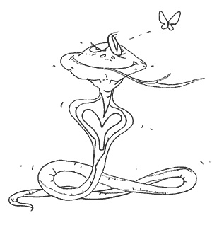 Иллюстрация к книге — Школа лентяев, или Тибетская оздоровительная гимнастика для внутренних органов [i_061.jpg]