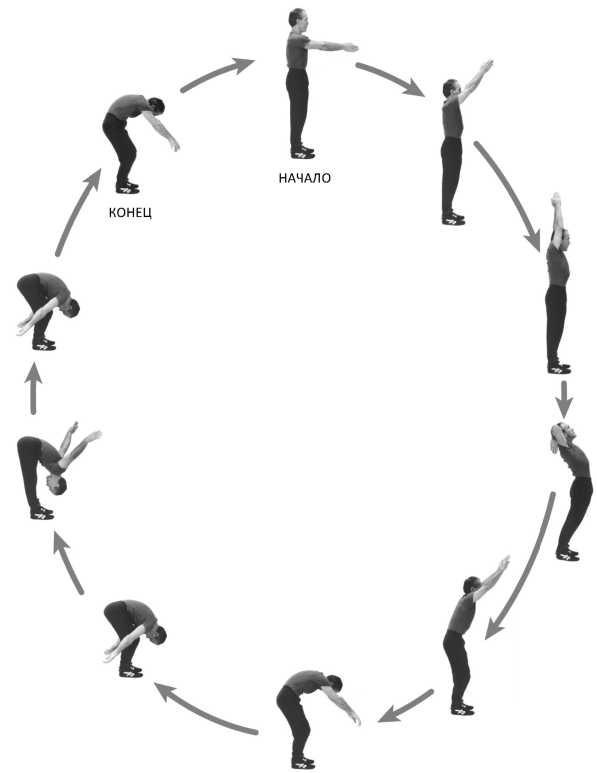 Иллюстрация к книге — Совершенное владение телом и разумом. Как добиться успеха в спорте и жизни [imgBD66.jpg]