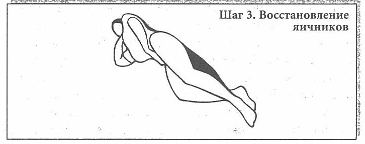 Иллюстрация к книге — Сексуальное учение Белой тигрицы. Секреты даосских наставниц [img_16.jpg]