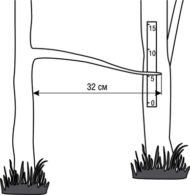 Иллюстрация к книге — Учебник по выживанию в экстремальных ситуациях [i_001.jpg]