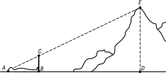 Иллюстрация к книге — Учебник по выживанию в экстремальных ситуациях [i_019.jpg]