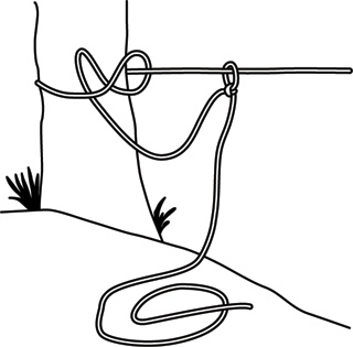 Иллюстрация к книге — Учебник по выживанию в экстремальных ситуациях [i_098.jpg]