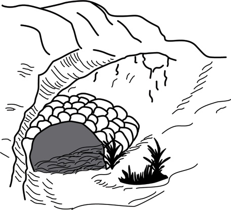 Иллюстрация к книге — Учебник по выживанию в экстремальных ситуациях [i_114.jpg]