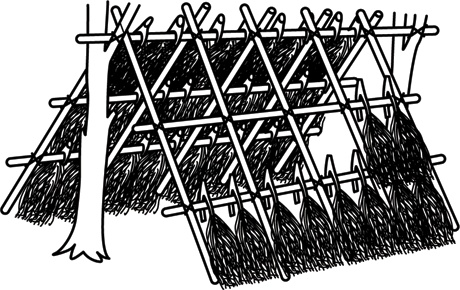 Иллюстрация к книге — Учебник по выживанию в экстремальных ситуациях [i_123.jpg]