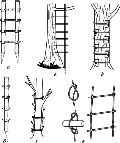 Иллюстрация к книге — Учебник по выживанию в экстремальных ситуациях [i_134.jpg]