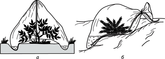 Иллюстрация к книге — Учебник по выживанию в экстремальных ситуациях [i_139.jpg]