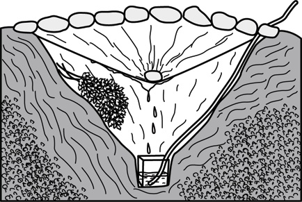 Иллюстрация к книге — Учебник по выживанию в экстремальных ситуациях [i_142.jpg]