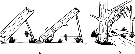 Иллюстрация к книге — Учебник по выживанию в экстремальных ситуациях [i_155.jpg]