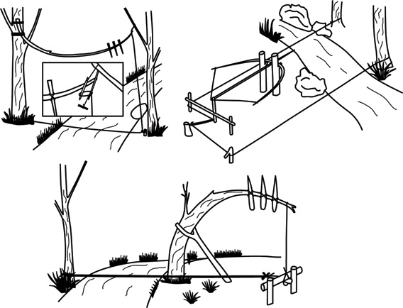 Иллюстрация к книге — Учебник по выживанию в экстремальных ситуациях [i_156.jpg]