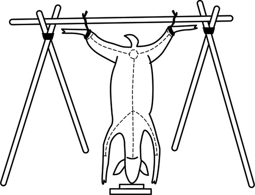 Иллюстрация к книге — Учебник по выживанию в экстремальных ситуациях [i_157.jpg]