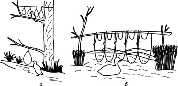 Иллюстрация к книге — Учебник по выживанию в экстремальных ситуациях [i_162.jpg]