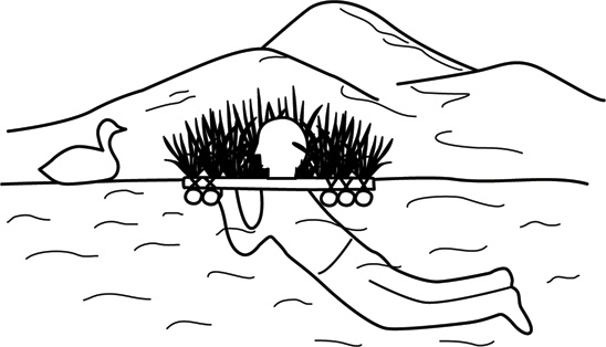 Иллюстрация к книге — Учебник по выживанию в экстремальных ситуациях [i_163.jpg]