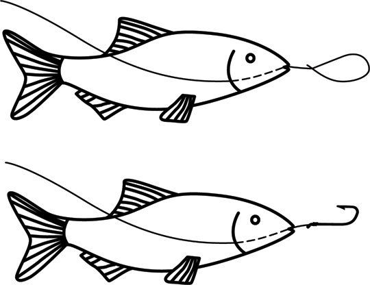 Иллюстрация к книге — Учебник по выживанию в экстремальных ситуациях [i_167.jpg]