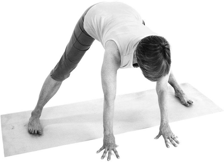 Иллюстрация к книге — Йога при остеопорозе [_133.jpg]