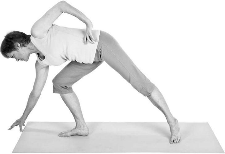 Иллюстрация к книге — Йога при остеопорозе [_226.jpg]