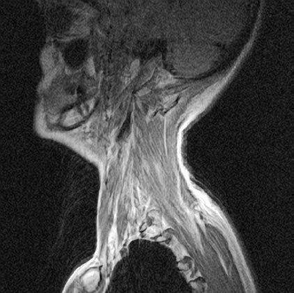 Иллюстрация к книге — Йога при остеопорозе [_23.jpg]