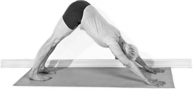 Иллюстрация к книге — Йога при остеопорозе [_258.jpg]