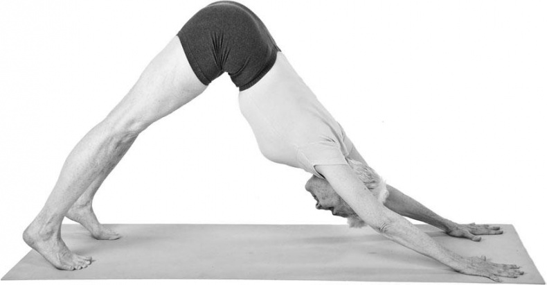 Иллюстрация к книге — Йога при остеопорозе [_262.jpg]