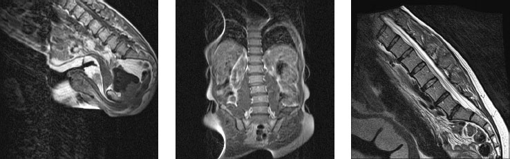 Иллюстрация к книге — Йога при остеопорозе [_27.jpg]