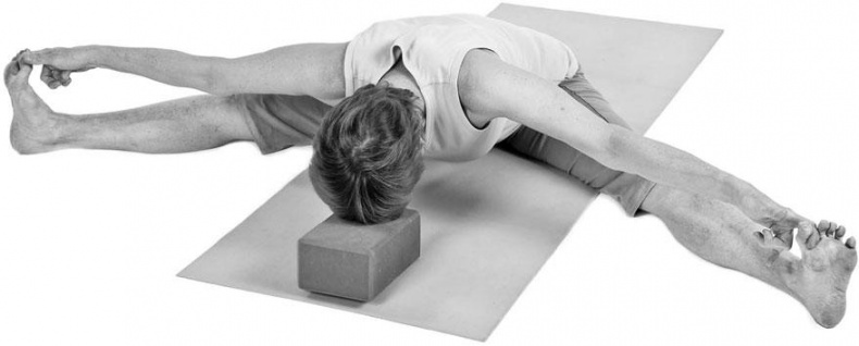 Иллюстрация к книге — Йога при остеопорозе [_271.jpg]