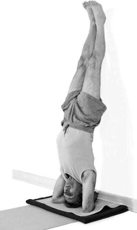 Иллюстрация к книге — Йога при остеопорозе [_302.jpg]