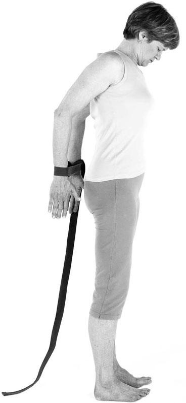 Иллюстрация к книге — Йога при остеопорозе [_307.jpg]