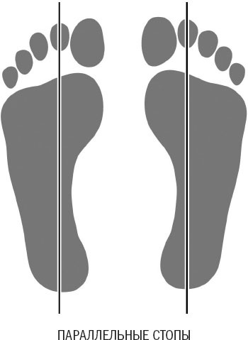 Иллюстрация к книге — Йога при остеопорозе [_31.jpg]