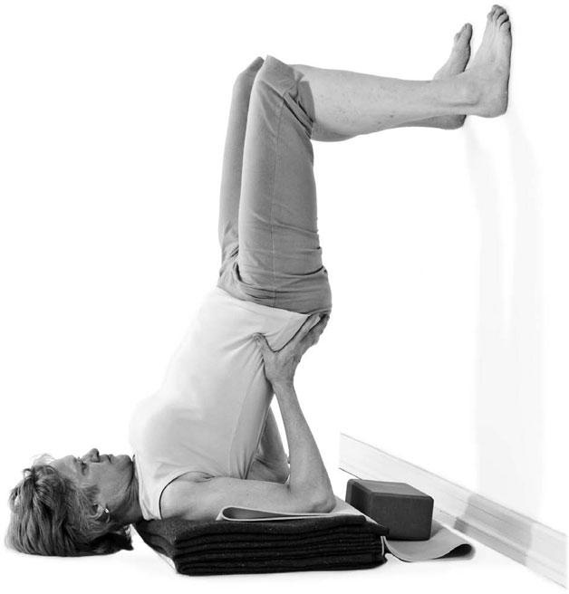 Иллюстрация к книге — Йога при остеопорозе [_315.jpg]