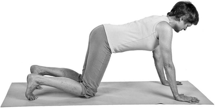 Иллюстрация к книге — Йога при остеопорозе [_53.jpg]