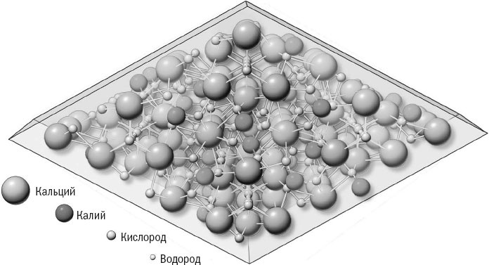 Иллюстрация к книге — Йога при остеопорозе [_7.jpg]